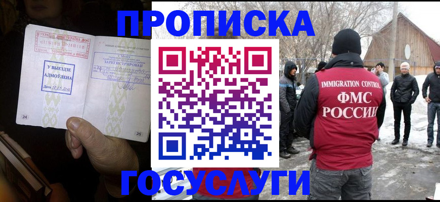прописка поиск в Домодедово